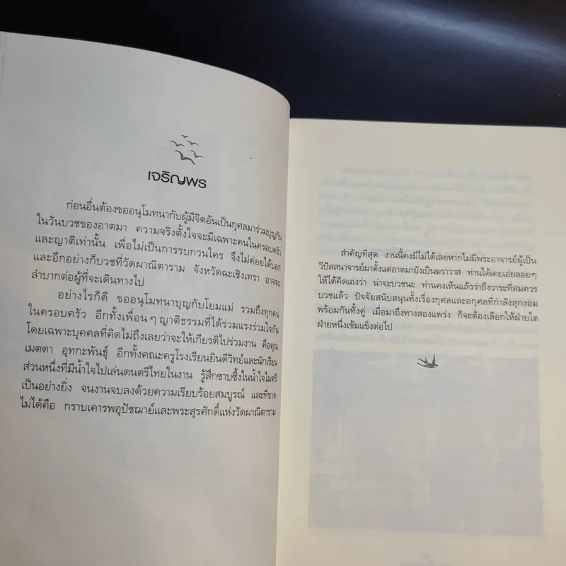 ดูจิตหนึ่งพรรษา - ประเสริฐ อุทัยเฉลิม รูปที่ 12