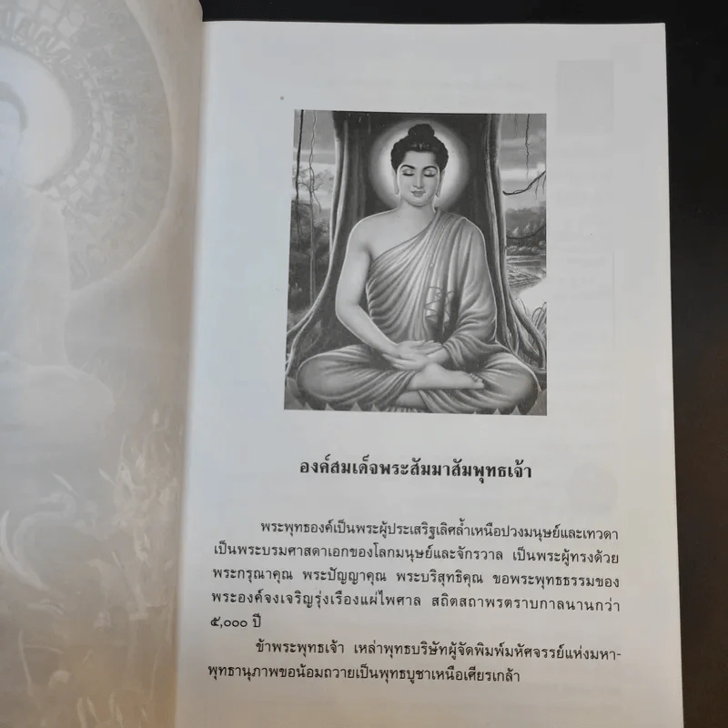 มหัศจรรย์แห่งมหาพุทธานุภาพ ตอน ปราบมารและโปรดธรรม - ศาสตราจารย์เกียรติคุณ จำรูญ ผาสมุทร รูปที่ 8