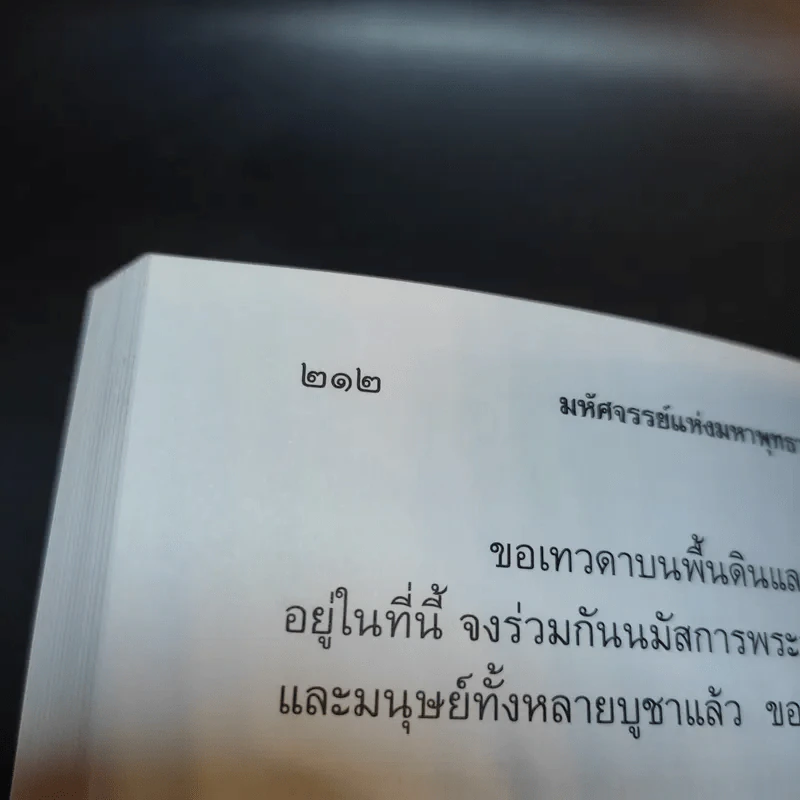 มหัศจรรย์แห่งมหาพุทธานุภาพ ตอน ปราบมารและโปรดธรรม - ศาสตราจารย์เกียรติคุณ จำรูญ ผาสมุทร รูปที่ 14