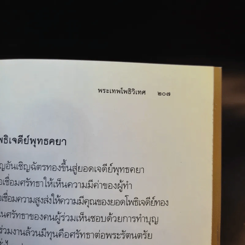 มือที่ทำคำที่พูด - พระเทพโพธิวิเทศ (วีรยุทธ์ วีรยุทโธ) รูปที่ 15