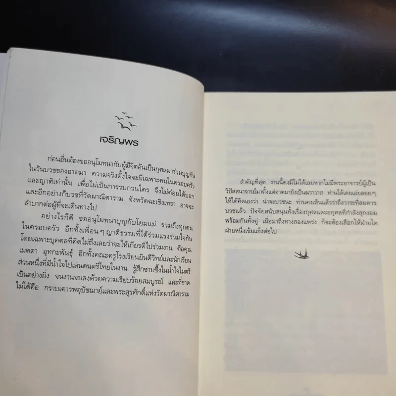 ดูจิตหนึ่งพรรษา - ปัญญาวโรภิกขุ รูปที่ 12