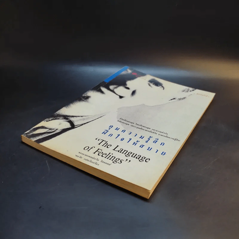 คุมความรู้สึกฝึกใจให้สบาย The Language of Feelings - เดวิด วิสคอตต์ รูปที่ 7