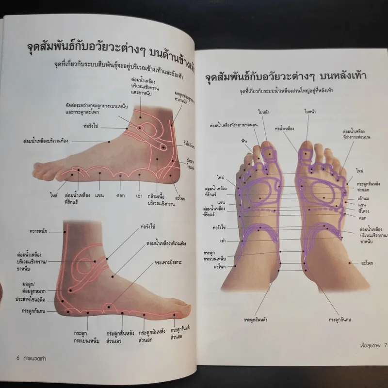 การนวดเท้าเพื่อสุขภาพและรักษาโรค รูปที่ 11