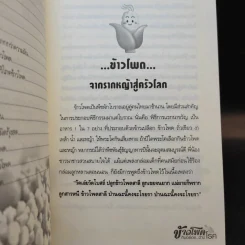 ข้าวโพด กินอร่อย ต้านโรค รูปที่ 6