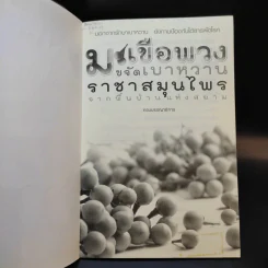 มะเขือพวงขจัดเบาหวาน ราชาสมุนไพรจากพื้นบ้านแห่งสยาม รูปที่ 8