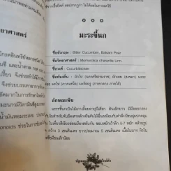 ปลูกและใช้สมุนไพรใกล้ตัว - จิตรลดา ชมบุญ รูปที่ 14