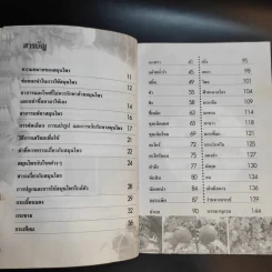 ปลูกและใช้สมุนไพรใกล้ตัว - จิตรลดา ชมบุญ รูปที่ 11