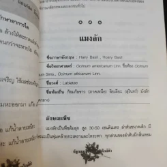 ปลูกและใช้สมุนไพรใกล้ตัว - จิตรลดา ชมบุญ รูปที่ 13