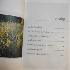 ปลายลมร้อนที่นิวซีแลนด์ - พิมพ์สี รูปที่ 11