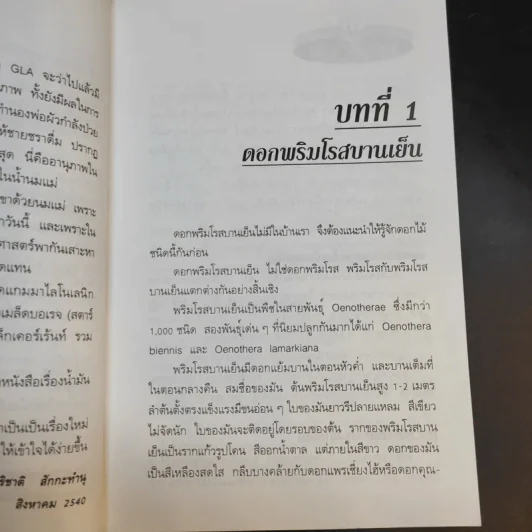 น้ำมันดอกพริมโรสบานเย็น - ปาริชาติ สักกะทำนุ รูปที่ 13