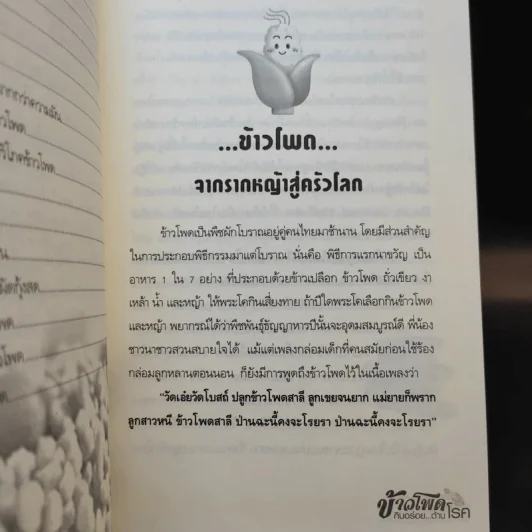 ข้าวโพด กินอร่อย ต้านโรค รูปที่ 6