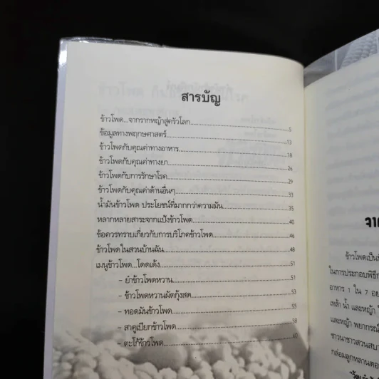ข้าวโพด กินอร่อย ต้านโรค รูปที่ 5