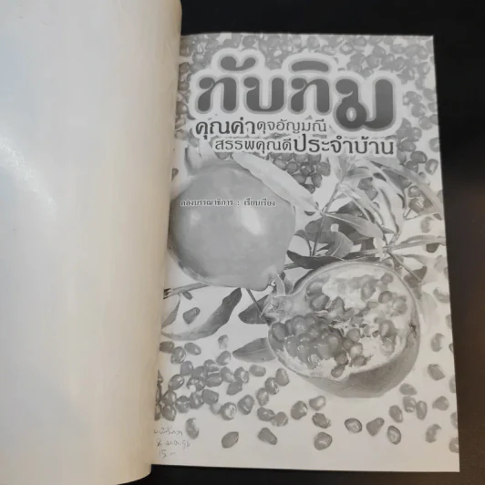ทับทิม คุณค่าดุจอัญมณี สรรพคุณดีประจำบ้าน รูปที่ 8