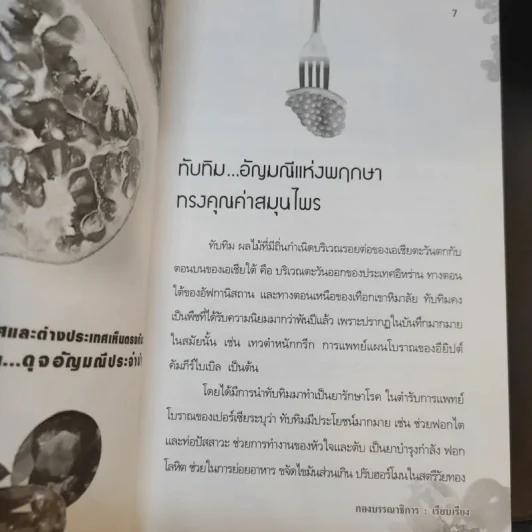 ทับทิม คุณค่าดุจอัญมณี สรรพคุณดีประจำบ้าน รูปที่ 11