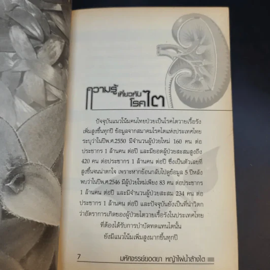 มหัศจรรย์ยอดยา หญ้าไผ่น้ำล้างไต รูปที่ 11
