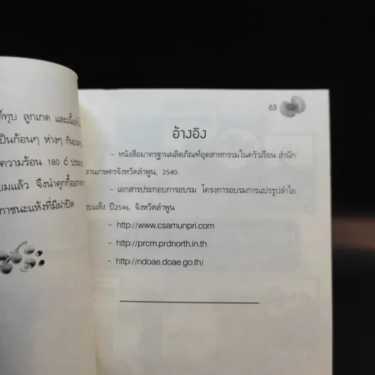 ฉันชื่อลำไย บำรุงหัวใจ บำรุงประสาท - ปัญญา ไพศาลอนันต์ รูปที่ 13