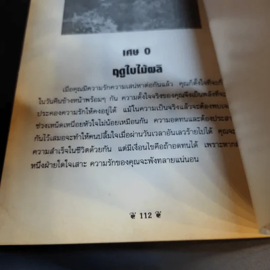 ดูดวงชะตา ตามตำราโหราศาสตร์ ญี่ปุ่นโบราณ - เฉลิมหล้า พรหมกิติ รูปที่ 12