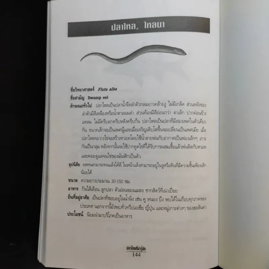 ปลาไทยที่น่ารู้จัก - ธวัชชัย เลิศสุนทรกุล รูปที่ 18