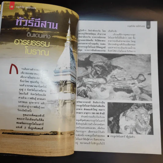ตะลุยทั่วไทย เลยไปต่างแดน - วิมลวัลย์ พิบูลย์เวช รูปที่ 11