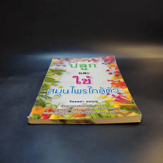 ปลูกและใช้สมุนไพรใกล้ตัว - จิตรลดา ชมบุญ รูปที่ 4