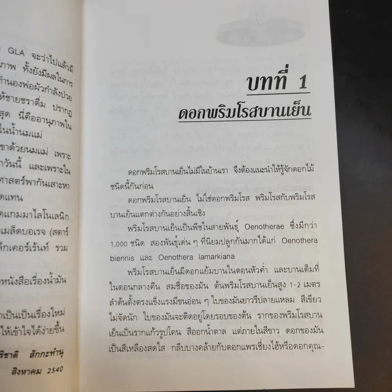น้ำมันดอกพริมโรสบานเย็น - ปาริชาติ สักกะทำนุ รูปที่ 13