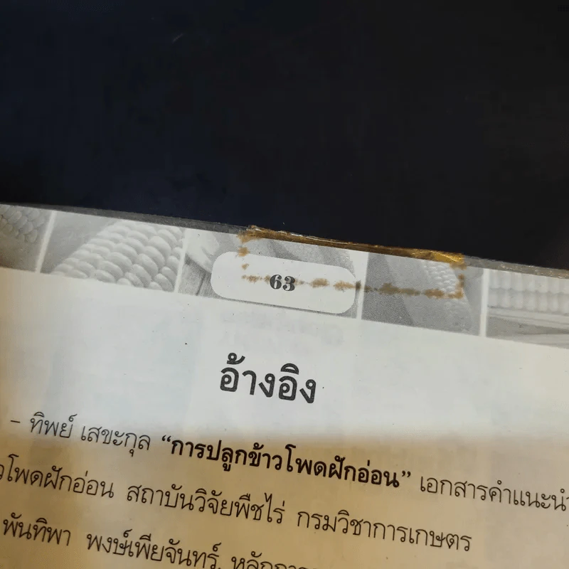 ข้าวโพด กินอร่อย ต้านโรค รูปที่ 9