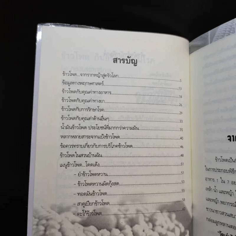 ข้าวโพด กินอร่อย ต้านโรค รูปที่ 5