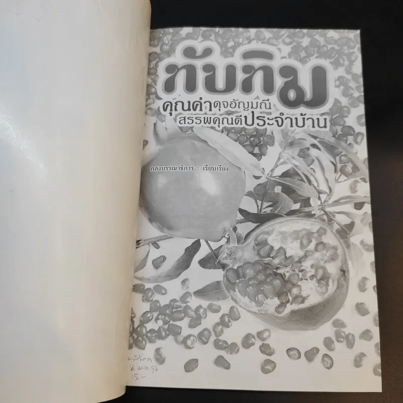 ทับทิม คุณค่าดุจอัญมณี สรรพคุณดีประจำบ้าน รูปที่ 8