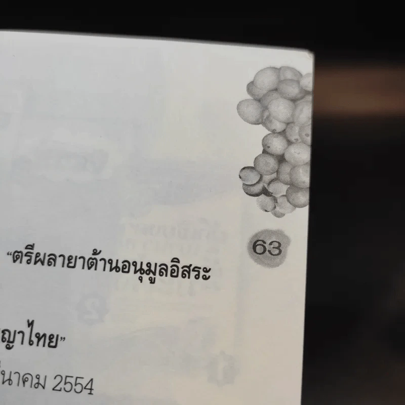 มหัศจรรย์น้ำสมุนไพร ตรีผลาฆ่ามะเร็ง รูปที่ 12