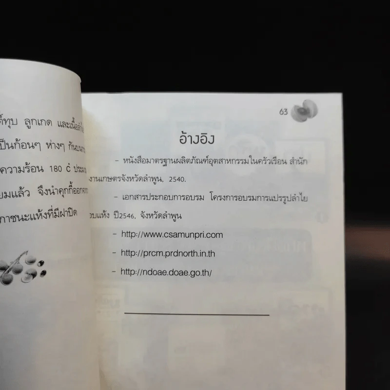 ฉันชื่อลำไย บำรุงหัวใจ บำรุงประสาท - ปัญญา ไพศาลอนันต์ รูปที่ 13