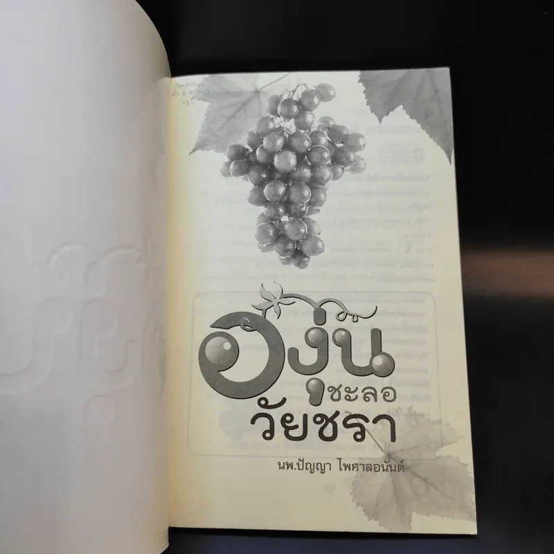องุ่นชะลอวัยชรา - นพ.ปัญญา ไพศาลอนันต์ รูปที่ 8