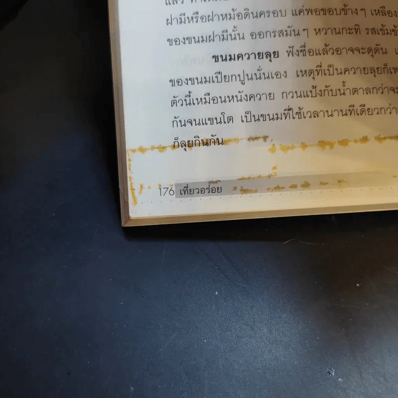 เที่ยวอร่อย อุทัยธานี อรัญประเทศ ตราด เชียงใหม่ ชุมพร - ยอดแต้ว อักษรา รูปที่ 18