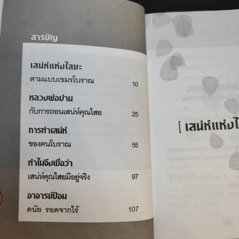 เสน่ห์แห่งไสยะ - คม พยัคฆเวทย์ รูปที่ 12