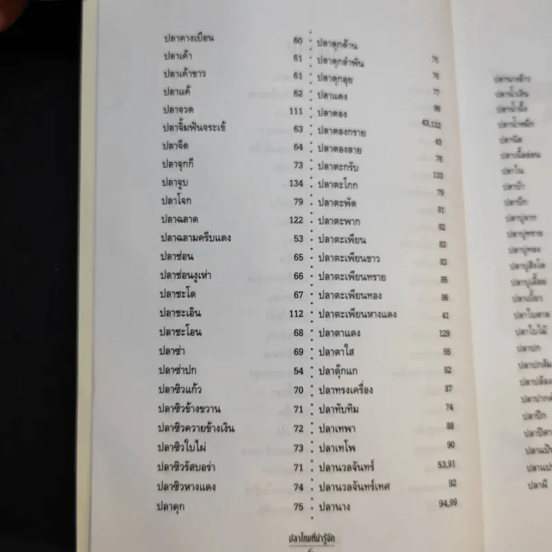 ปลาไทยที่น่ารู้จัก - ธวัชชัย เลิศสุนทรกุล รูปที่ 11