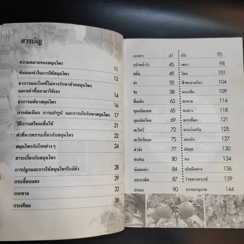 ปลูกและใช้สมุนไพรใกล้ตัว - จิตรลดา ชมบุญ รูปที่ 11