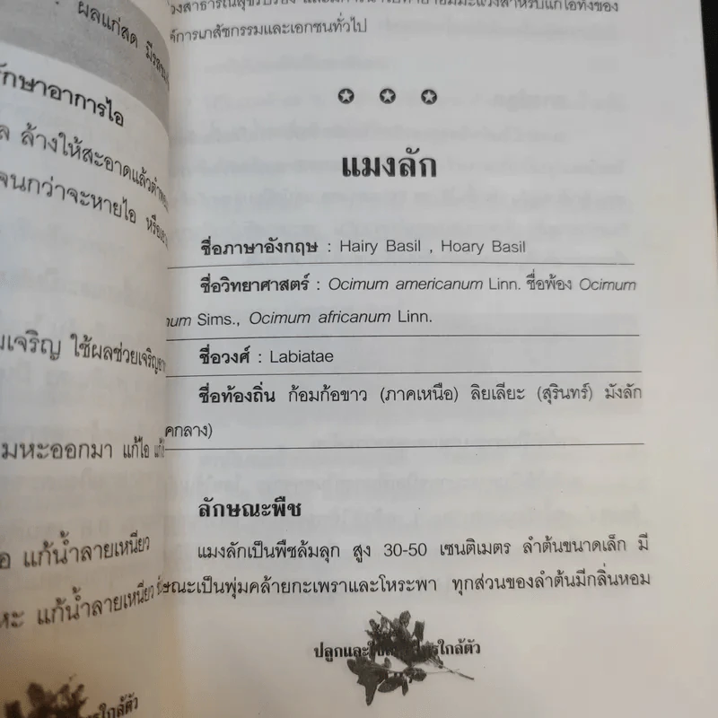ปลูกและใช้สมุนไพรใกล้ตัว - จิตรลดา ชมบุญ รูปที่ 13
