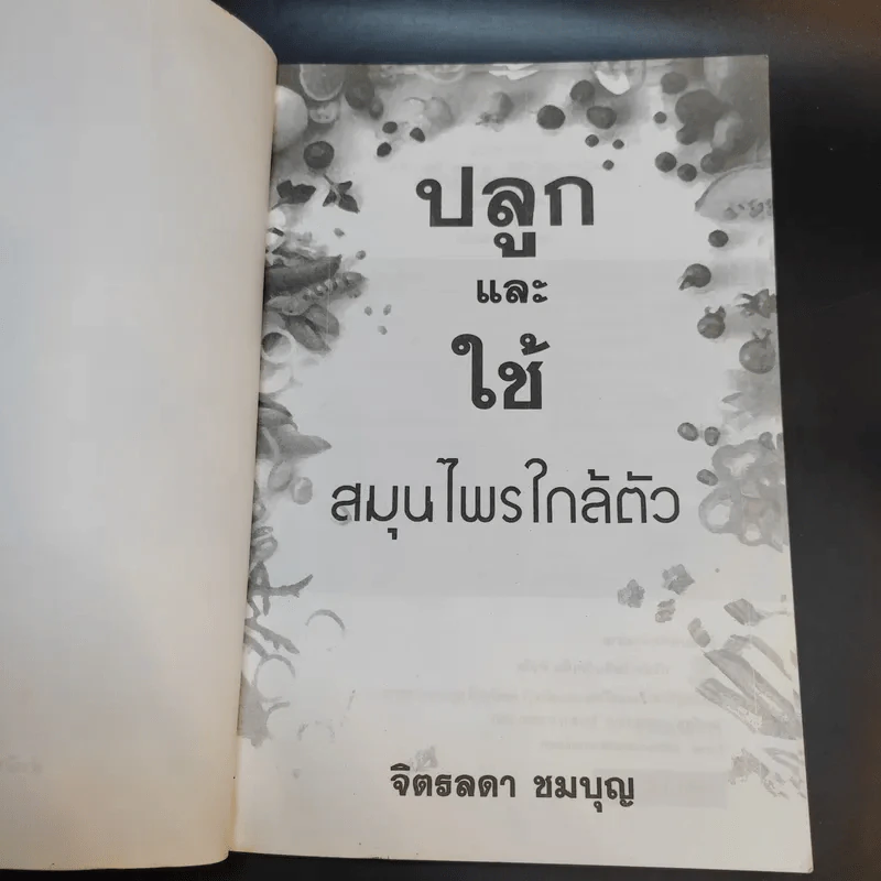 ปลูกและใช้สมุนไพรใกล้ตัว - จิตรลดา ชมบุญ รูปที่ 9