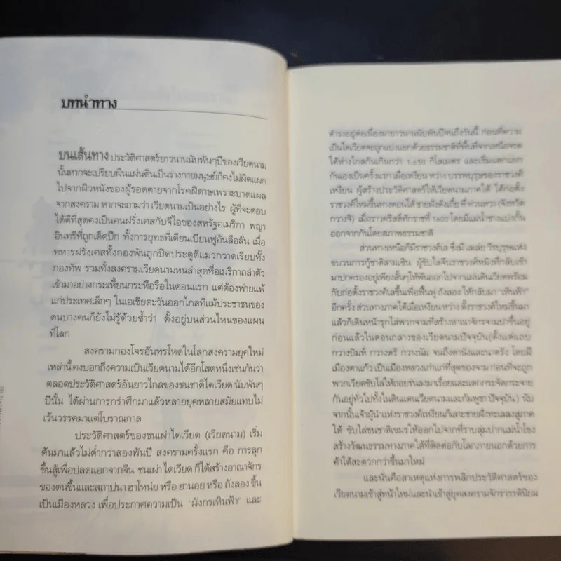 เวียดนาม ดอกไม้หลังไฟสงคราม - สัจภูมิ ละออ รูปที่ 11