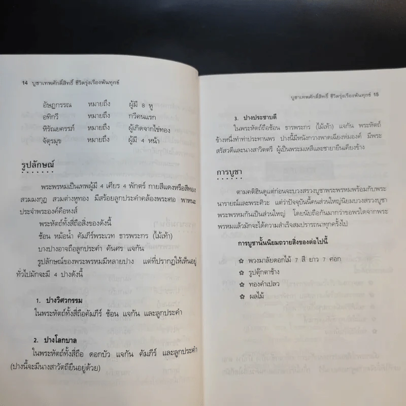 บูชาเทพศักดิ์สิทธิ์ ชีวิตรุ่งเรืองพ้นทุกข์ - ศ.โพธิมาลา รูปที่ 15