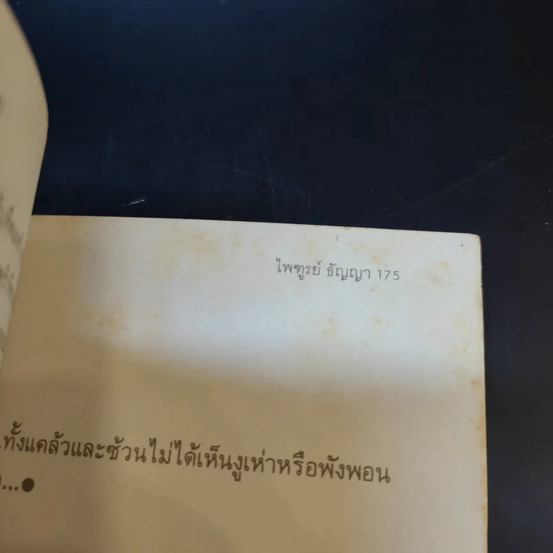 ก่อกองทราย - ไพฑูรย์ ธัญญา รูปที่ 13