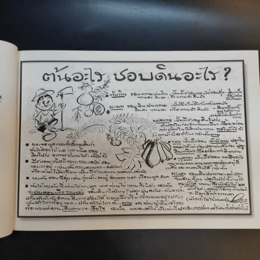 ขบวนการแก้จน เล่ม 4 รู้เรื่องต้นไม้ ไม้จน - ประยูร จรรยาวงศ์ รูปที่ 15