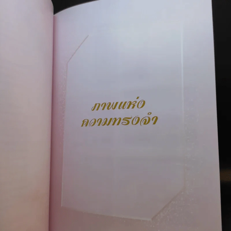 แม่นักสู้ผู้สร้าง (อนุสรณ์เนื่องในงานพระราชทานเพลิงศพ คุณแม่สายสนี วงษ์สุวรรณ) รูปที่ 13