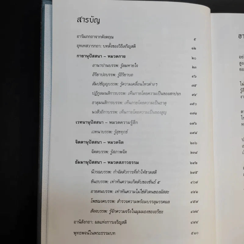 มหาสติปัฏฐานสูตร - ดังตฤณ รูปที่ 11