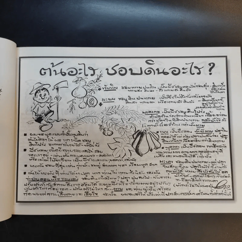 ขบวนการแก้จน เล่ม 4 รู้เรื่องต้นไม้ ไม้จน - ประยูร จรรยาวงศ์ รูปที่ 15