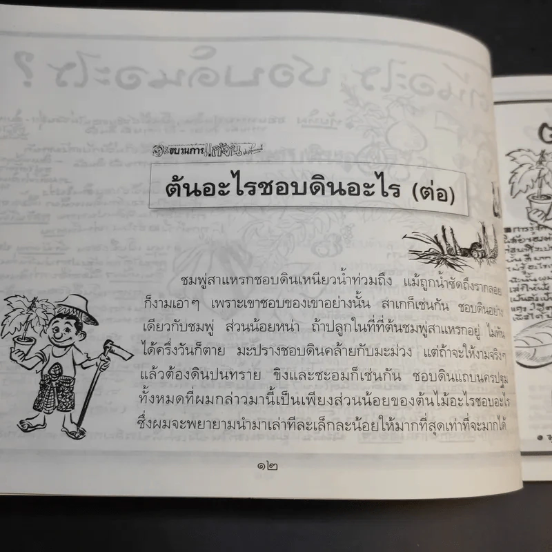 ขบวนการแก้จน เล่ม 4 รู้เรื่องต้นไม้ ไม้จน - ประยูร จรรยาวงศ์ รูปที่ 16