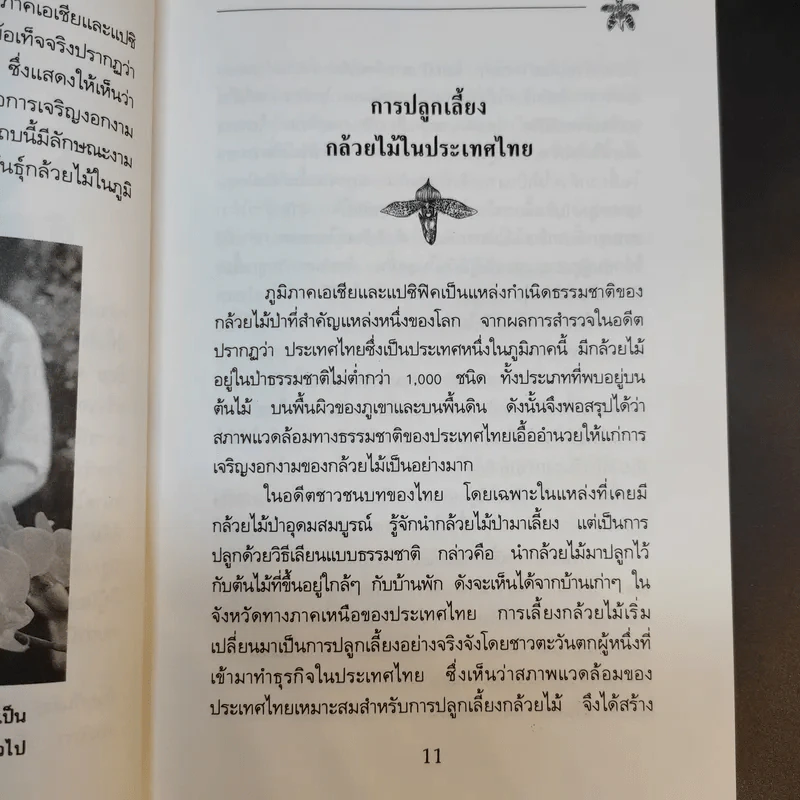 คู่มือการปลูกกล้วยไม้ รูปที่ 12