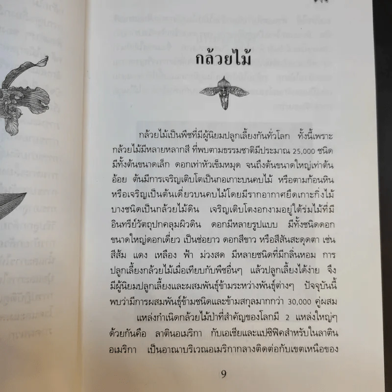 คู่มือการปลูกกล้วยไม้ รูปที่ 11