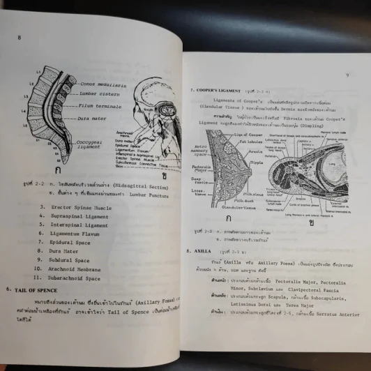 มหกายวิภาคศาสตร์ประยุกต์ เล่มที่ 1 แขนและขา รูปที่ 15