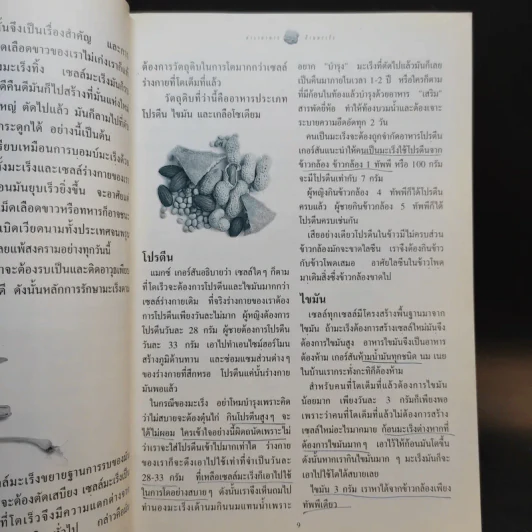 ตำราอาหารต้านมะเร็ง - พญ.ลลิตา ธีระสิริ รูปที่ 12