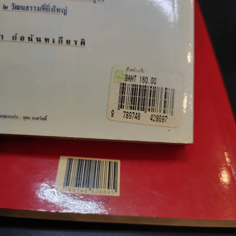 ตึ่งหนั่งเกี้ย + บ่วงสื่อยู่อี่ - จิตรา ก่อนันทเกียรติ รูปที่ 20